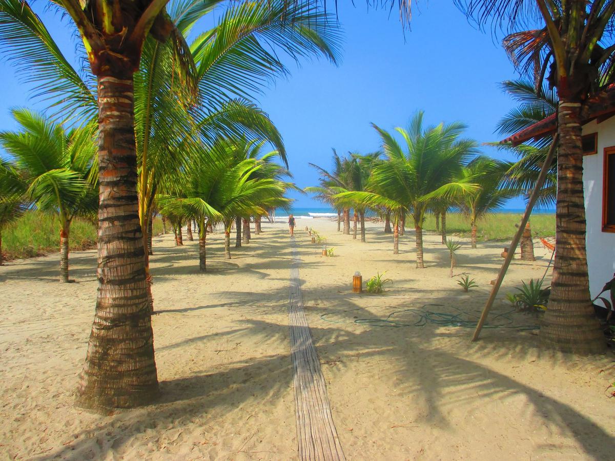 Beach Front Bungalows At The Coconut Canoa Extérieur photo